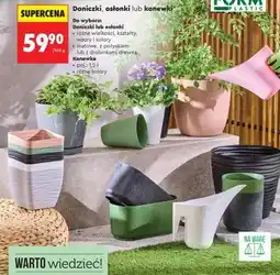Biedronka Doniczki, osłonki lub konewki oferta