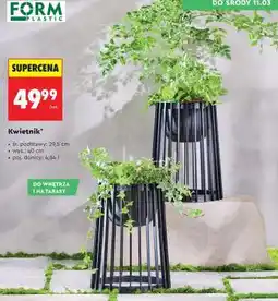 Biedronka Kwietnik oferta