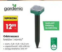 Biedronka Odstraszacz kretów i nornic oferta