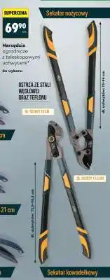 Biedronka Sekator nożycowy oferta
