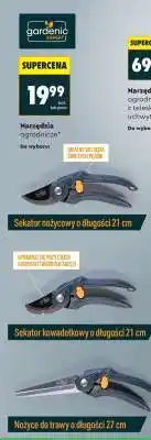Biedronka Narzędzia ogrodnicze oferta