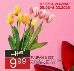 Wafelek Tulipan 5 szt oferta