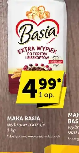 Groszek Mąka Basia oferta