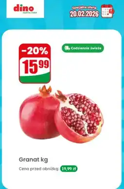 Dino Granat oferta