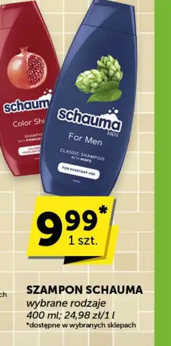 Groszek Szampon Schauma oferta