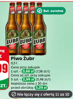 Dino Piwo Żubr oferta