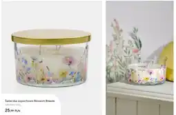 Sinsay Świeczka zapachowa Blossom Breeze oferta