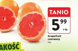 Intermarche Grejpfrut czerwony oferta