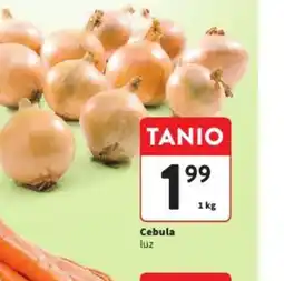Intermarche Cebula oferta