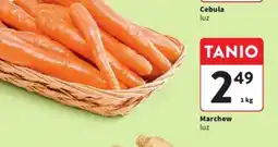 Intermarche Marchew oferta