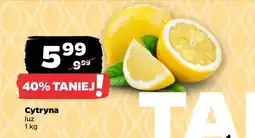 Netto Cytryna luz oferta