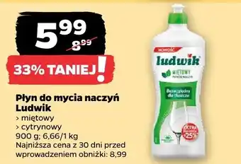 Netto Płyn do mycia naczyń Ludwik miętowy oferta