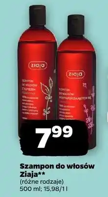 Netto Szampon do włosów oferta