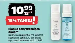 Netto Pianka oczyszczająca oferta
