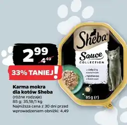 Netto Karma mokra dla kotów Sauce Collection oferta