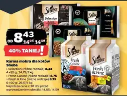 Netto Karma mokra dla kotów Fresh & Fine oferta