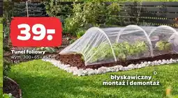 Netto Tunel foliowy oferta