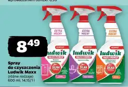 Netto Spray do czyszczenia Ludwik Maxx oferta