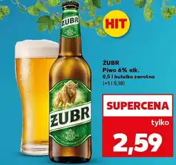 Kaufland Piwo Żubr oferta