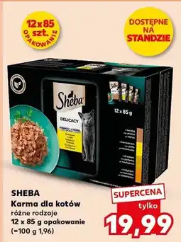 Kaufland Karma dla kotów różne rodzaje 12 x 85 g opakowanie oferta