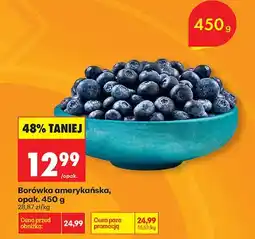 Biedronka Borówka amerykańska oferta