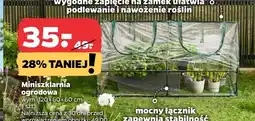 Netto Miniszklarnia ogrodowa oferta
