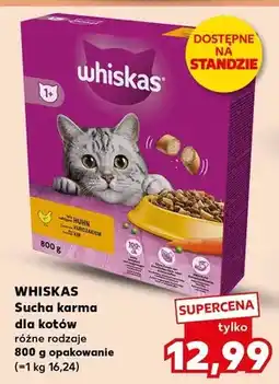 Kaufland Sucha karma dla kotów różne rodzaje oferta