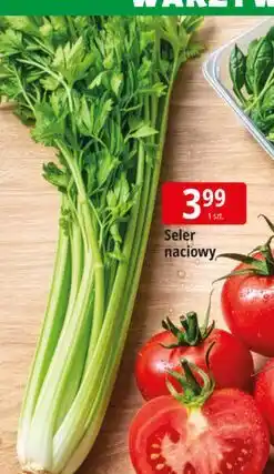 E.Leclerc Seler naciowy oferta