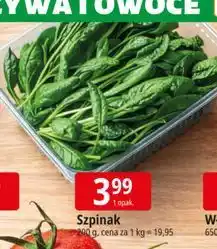 E.Leclerc Szpinak oferta