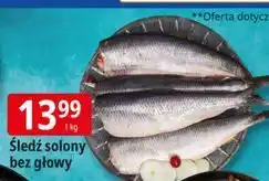 E.Leclerc Śledź solony bez głowy oferta