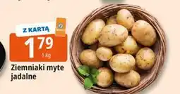 E.Leclerc Ziemniaki myte oferta