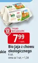 E.Leclerc Jaja ekologiczne Wiodąca Marka Bio Village oferta