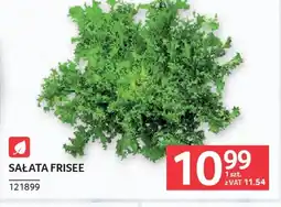 Selgros Sałata Frisee oferta
