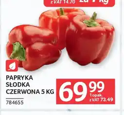 Selgros Papryka słodka czerwona oferta