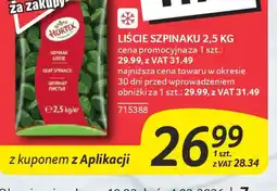 Selgros Hortex Liście szpinaku oferta