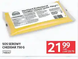 Selgros Hochland Professional Sos Serowy Cheddar oferta