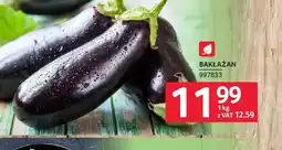 Selgros Bakłażan oferta