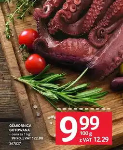 Selgros Ośmiornica gotowana oferta