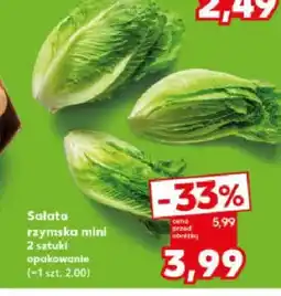 Kaufland Sałata rzymska mini 2 sztuki oferta
