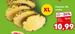 Kaufland Ananas XL sztuka oferta