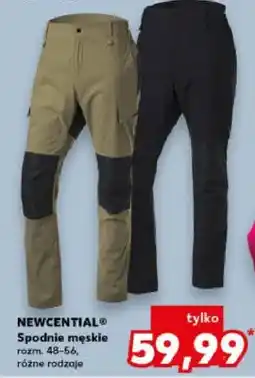 Kaufland Spodnie męskie różne rodzaje oferta