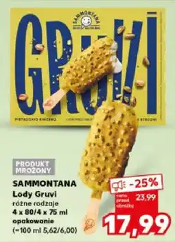 Kaufland Lody Gruvi różne rodzaje oferta