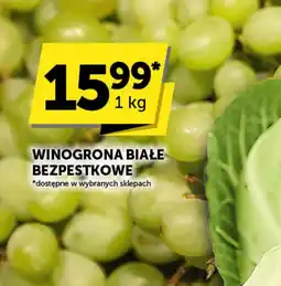 Groszek Winogrona białe bezpestkowe oferta