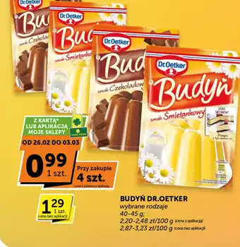 Groszek Budyń Dr.Oetker oferta