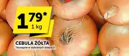 Groszek CEBULA ŻÓŁTA oferta