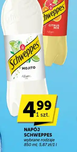 Groszek Napój Schweppes oferta