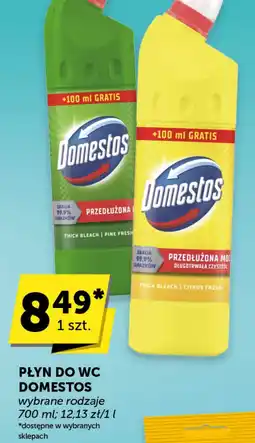 Groszek Domestos Płyn do WC oferta