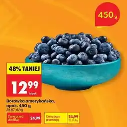 Biedronka Borówka amerykańska, opak. 450 g oferta