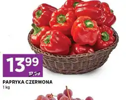 Stokrotka Express Papryka oferta