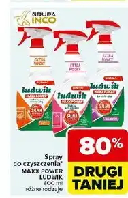 Carrefour Płyn czyszczący kabiny prysznicowe Ludwik Maxx Power oferta